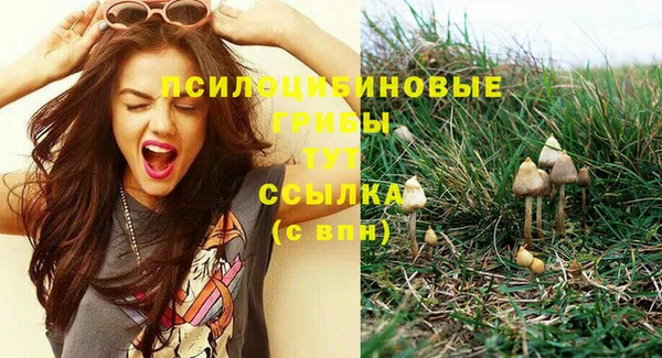 mdpv Горнозаводск