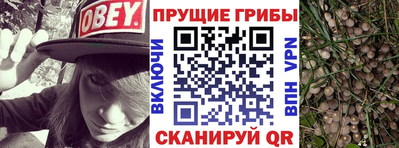 Псилоцибиновые грибы мухоморы как найти закладки Магас
